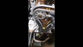 VW polo Timing chain [upl. by Norag645]