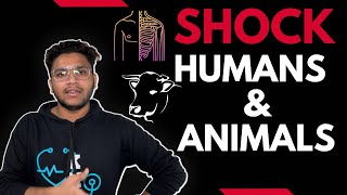 Shock in Humans and Animals  Septic Anaphylactic Hypovolemic Cardiogenic Neurogenic  Saad Khan [upl. by Lareine234]