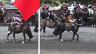 T 2324  Rodeo Club Victoria  Serie Campeones  11 y 12 de noviembre de 2023 [upl. by Ettigirb253]