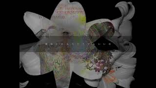 flower／ zzen （featWorld name） 歌詞動画 [upl. by Ruenhcs]