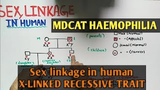 X linked recessive haemophilia  NMDCAT 2021 [upl. by Anairdna]