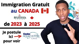 Le nouveau programme gratuit dimmigration au canada comment postuler au canada sans diplôme [upl. by Anawat183]