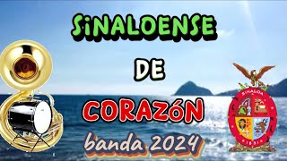 el sinaloense de corazon [upl. by Zilla152]