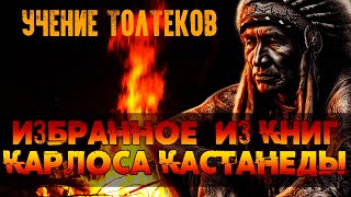 Избранное из книг Карлоса Кастанеды NikОsho  Учение Толтеков [upl. by Manuel108]