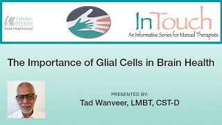 The Importance of Glial Cells in Brain Health 60minute Introduction [upl. by Nino63]