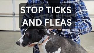 Serestos Flea amp Tick Collar Unboxing amp Review  Dog tick flea [upl. by Nylahsoj93]