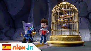 Los Pájaros Cantores Vuelven a Casa  Patrulla Canina  Nick Jr España [upl. by Eanahs]