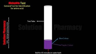 Ninhydrin Test  Identification Test for Amino acid  Biochemical Test for Protein  Animation Video [upl. by Eeliram]