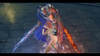 Elden Ring DLC  Rellana Twin Moon Knight Parry Kill [upl. by Slack]