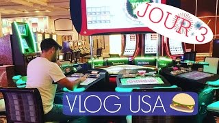 ON A GAGNE  🎰🎰🎰 DAILY VLOG ELYROSE USA J3 [upl. by Letsyrk]