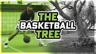 HOW I GOT MY HANDLES FASTER HEAVY BASKETBALL WORKOUT THE BASKETBALL TREE [upl. by Enyrehtac]