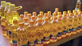 TesoAgro Producers of Sunflower Oils and Seeds secure 4 Investors [upl. by Ahsasal]