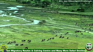 Ngorongoro Crater [upl. by Yerffeg997]