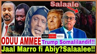 Jaal Marro fi Abiy Salaalee😭Trump Somalilandif11202024 AGM [upl. by Shandeigh]