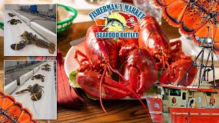 Fishermans Market Seafood Outlet  Lobster Fishing amp Live Lobster Grading Process [upl. by Gore157]