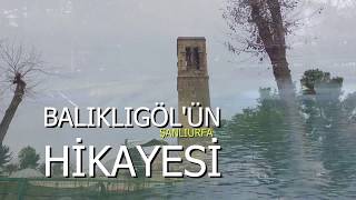 Şanlıurfa Balıklıgölün hikayesi [upl. by Africah991]