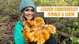 Wild Chanterelle Mushrooms Hunting in December  The Best Way to Cook Chanterelles  Forage amp Cook [upl. by Elauqsap]