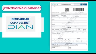 Cómo Descargar el RUT en la DIAN  Tutorial Completo Actualizado 👀 Leer la descripción para crear [upl. by Notnad]