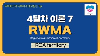 RCA territory echocardiography 심장초음파 heart echo view coronaryartery wall motion regional [upl. by Annuahs]