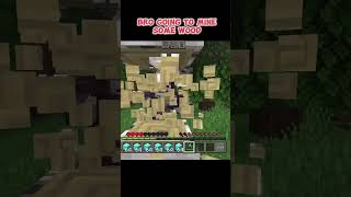 I Hate Birch wood ☹️ minecraft shortfeed [upl. by Aidnahs]