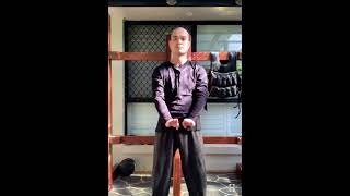 Yuen Chai Wan  Vietnamese Wing Chun Kung Fu  Si Lim Tao Form [upl. by Llydnek]