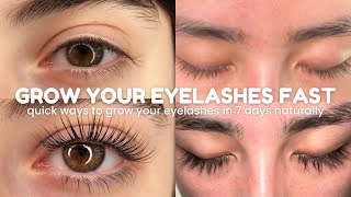 how to grow your eyelashes FAST amp NATURALLY in just 7 Days 🧸🎀 [upl. by Cykana]