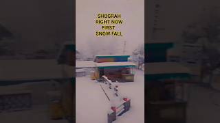 Shogran live today Snowfall  Naran weather update shogran valley today [upl. by Horlacher]