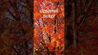 Uciszenie Duszy [upl. by Asare]