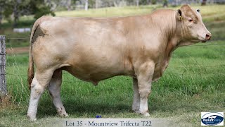 Lot 35 Mountview Trifecta T22 [upl. by Annovoj]