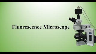 Fluorescence microscope [upl. by Nivrehs]