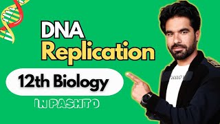 DNA Replication  Step By Step Guide to Genetic Duplication [upl. by Bert733]