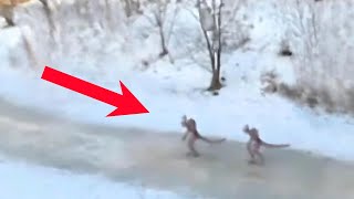 They Filmed A Terrifying Creature The This happened [upl. by Refinney]