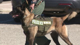 Southwest ISD welcomes first K9 to district’s police force [upl. by Essie]