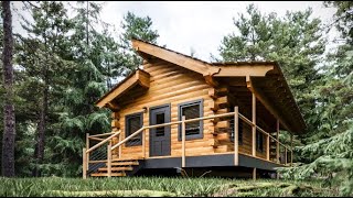 Log Cabin Building TIMELAPSE Built by ONE MAN and Grandson [upl. by Ardni]