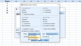 Testretest and interrater reliability on SPSS [upl. by Lawrence]