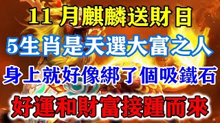 11月麒麟送財日！5生肖是天選大富之人，身上就好像綁了個吸鐵石，好運和財富接踵而來！運勢 風水 佛教 生肖 发财 横财 【佛之緣】 [upl. by Nosneb773]