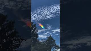 Fire Rainbows trending facts wonderful shorts [upl. by Aicilegna]