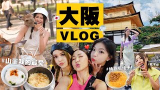 和我們一起到大阪過夏天🎐看藝妓表演 🪭 夏季限定川床料理 🤩 超涼快！到忍者博物館做忍者 🥷 扭蛋扭到懷疑人生 🫠｜ MAYHO 【 美好的一天 】 [upl. by Sholom]