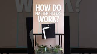 How Do Matten Filters Work Best Filter for Shrimp Tank [upl. by Atnas]