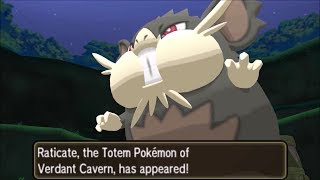 Pokemon Ultra Moon  Vs Totem Raticate Rematch Ilimas Normalium Z Post Game Quest [upl. by Ynaiffit957]