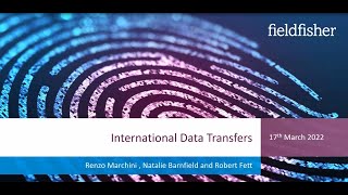 Privacy Webinar Series International Data Transfers [upl. by Spearing877]