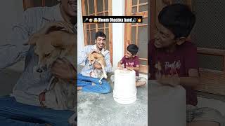 Dhoom dhadaka band💥🤣 comedy comedyshorts funny songs dog doglover dogshorts shorts singer [upl. by Werby898]