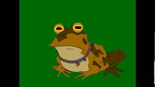 Green Screen Hypnotoad [upl. by Herod]