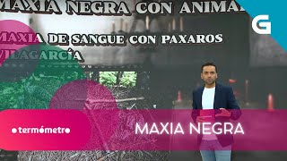 🔮 RITUAIS DE MAXIA NEGRA EN GALICIA [upl. by Salba808]