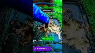 man takes off drain cover and reveals a SHOCKING THING UNDER satisfying draincleaning drainage [upl. by Adnwahsal]