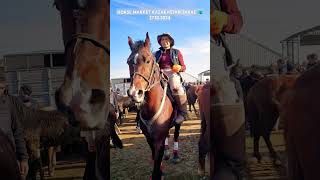 Horses market equestrain shorts horse asmr [upl. by Frasco]