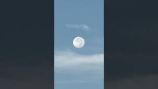 Daytime full moon amazing moon [upl. by Anitan592]