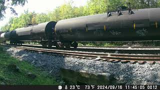 240922 South Facing Backyard Railcam [upl. by Nauqe968]