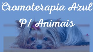 💙 Cromoterapia Azul  Musicoterapia  Relaxamento e Tratamento Natural Para Animais [upl. by Darren]