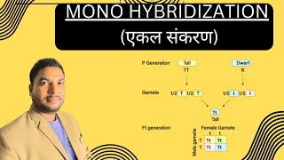 एकल संकरण  Mono Hybridization  Jeevan Aur Vigyaan  By SP Sir [upl. by Burkhart609]